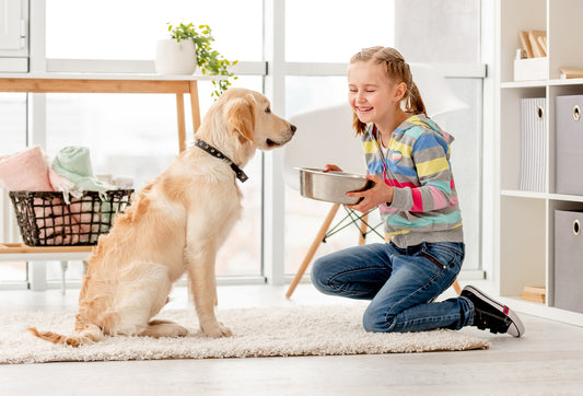 Basic Manners Every Dog Must Learn: Fostering Canine Civility
