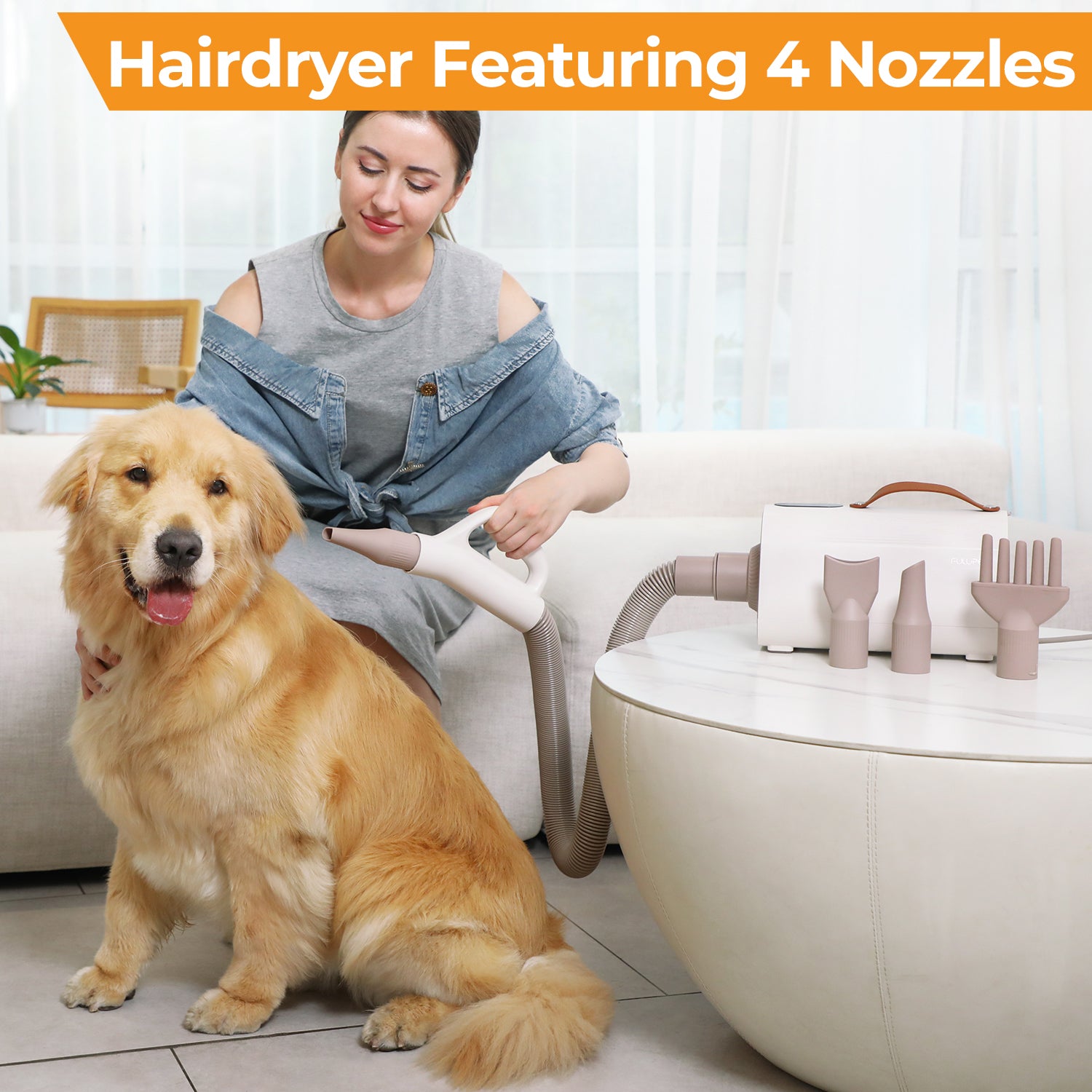 hair of dog grooming