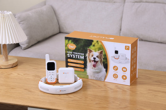 How the Fulupet 3-in-1 Dog Training System Came to Life?