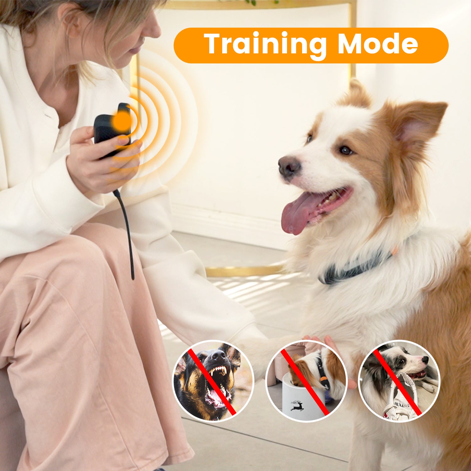 3 in 1 Dog Training System: Electronic Training & Wireless Fence & Barrier